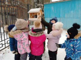 Наблюдение за птицами.