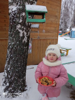 Экологическая кормушка.