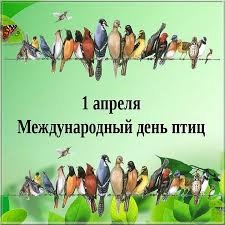 Международный день Птиц.